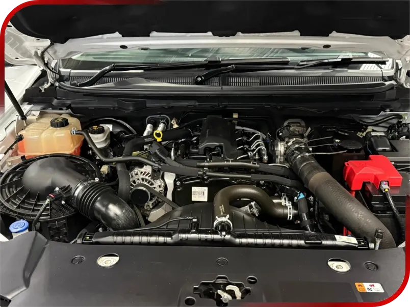 Epping’s Volkswagen Specialists
